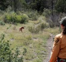 News & Story Feed | Yavapai County Search and Rescue Team